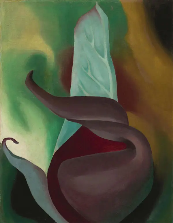 Skunk Cabbage 1922 By Georgia O'Keeffe
