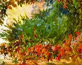 Garden Seen from the Window By Marie Bracquemond