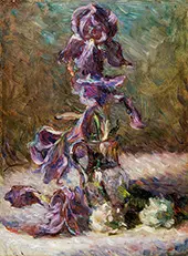 Iris in the Vase, 1886 By Marie Bracquemond