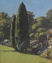 Summer Garden By Patrick Adam