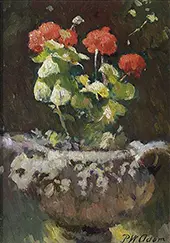 The Geraniums By Patrick Adam
