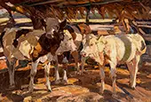 Three Calves at the Feed Rack By Heinrich von Zugel