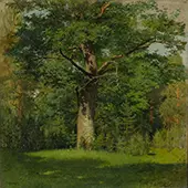 Oak By Isaac Levitan