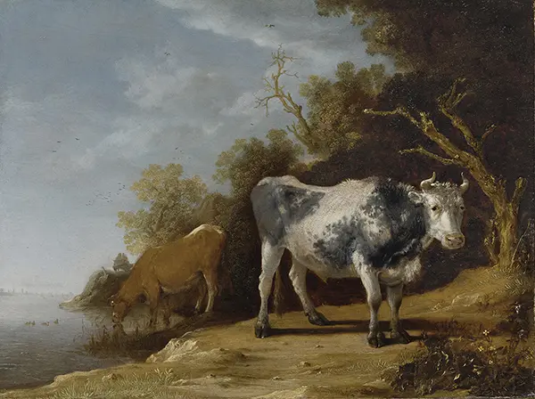 Two Cows Beside a Stream By Paulus Potter