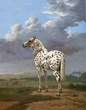 The Piebald Horse By Paulus Potter