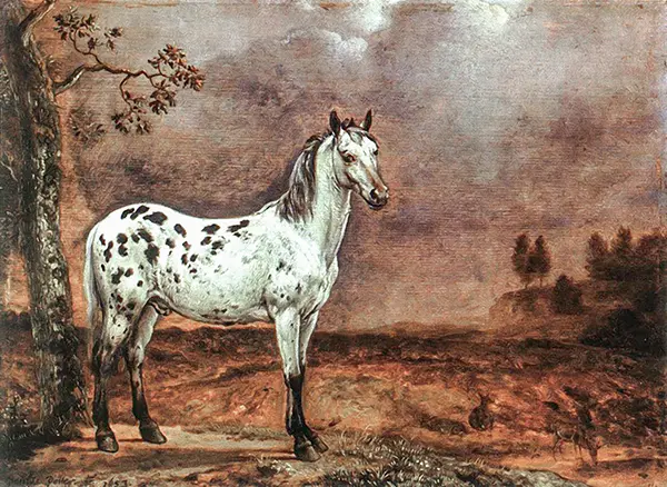The Spotted Horse By Paulus Potter