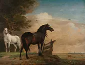 Two Horses Near a Gate in a Meadow By Paulus Potter