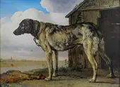 Wolf Hound By Paulus Potter