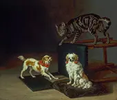 Cat Playing with Two Dogs By Paulus Potter