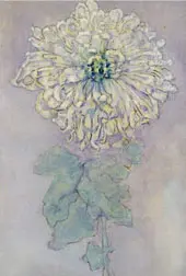 Chrysanthemum Undated By Piet Mondrian