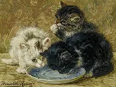 Three Kittens, 1895 By Henriette Ronner Knip