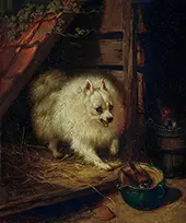 An Unwelcome Intruder By Henriette Ronner Knip