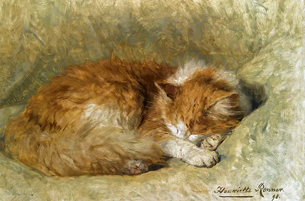 A Sleeping Cat, 1898 By Henriette Ronner Knip