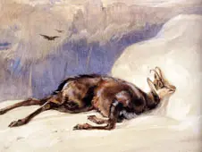 Camoscio By John Frederick Lewis