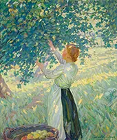 The Apple Gatherer By Helen Galloway McNicoll