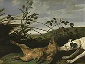 A Greyhound Catching a Young Wild Boar By Frans Snyders