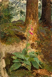 Foxglove Plant in Front of Tree Trunk in Landscape By Curt Agthe