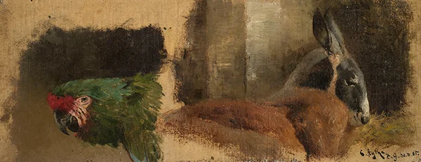 Study of the Head of a Parrot and the Head of a Kangaroo 1885 By Curt Agthe