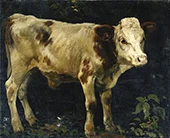 A Bull Calf 1876 By Christian Skredsvig