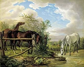 Two Brown Horses in a Paddock and a Gray 1825 By Albrecht Adam