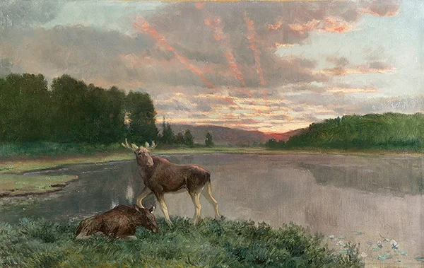 Moose in the Sunshine By Christian Skredsvig