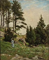 Study of Hillside By Ernest Wadsworth Longfellow