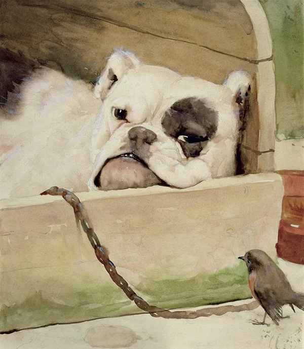 Bulldog 1927 By Cecil Aldin