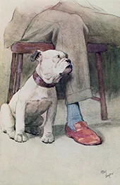 Bulldog By Cecil Aldin