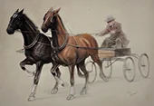 Trotting Horses Harnessed By Cecil Aldin