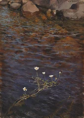 Pond Water Crowfoot and Shore Stones 1895 By Eero Jarnefelt
