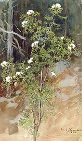 White Rowan 1893 By Eero Jarnefelt
