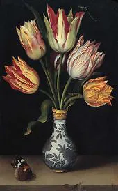 Tulips in a Vase By Ambrosius Bosschaert