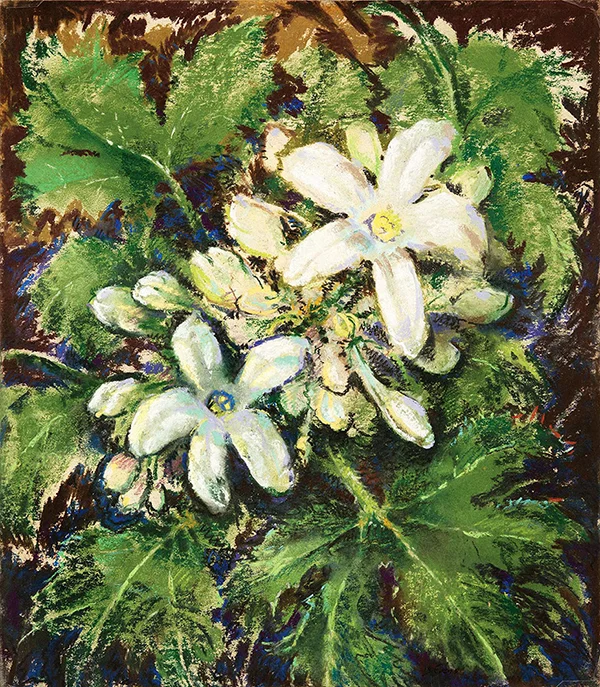 Forest Flowers By Will Henry Stevens
