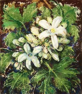 Forest Flowers By Will Henry Stevens