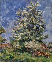Pear Tree in Blossom By Pyotr Konchalovsky
