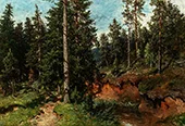 Conifer Forest By Morten Muller