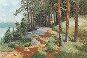 Norway Forest Landscape By Morten Muller