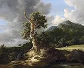 Rolling Landscape with an Oak before a Cornfield By Jacob van Ruisdael