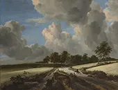 Wheat Fields c1670 By Jacob van Ruisdael