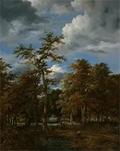 Landscape with Tall Trees By Jacob van Ruisdael