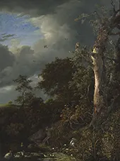 Oak and Thicket at a Pool By Jacob van Ruisdael