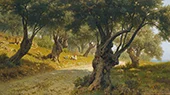 The Olive Grove Palermo By Francesco Lojacono