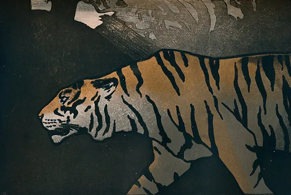 The Tiger c1900 By John Dickson Batten