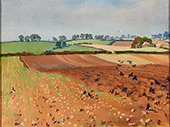 Ploughed Field By Isabel Codrington