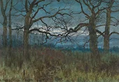 A Spinney in December 1882 By William Fraser Garden