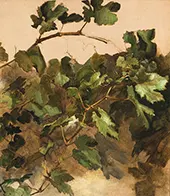 Grapevines By Rudolf Ribarz