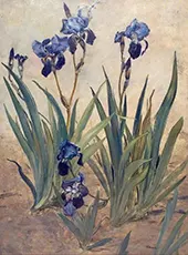 Irises II By Rudolf Ribarz