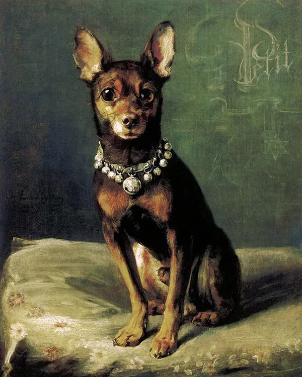 A Dog on a Cushion By Charles van den Eycken
