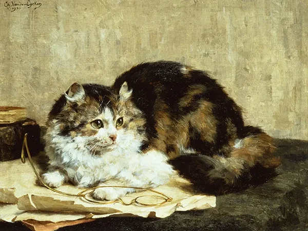 A Tabby Cat By Charles van den Eycken