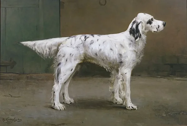 Portrait of a Dog 1885 By Charles van den Eycken